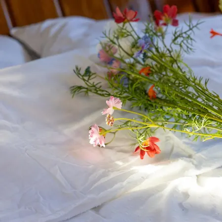 Authentic Charm Aboard The Serenity In *